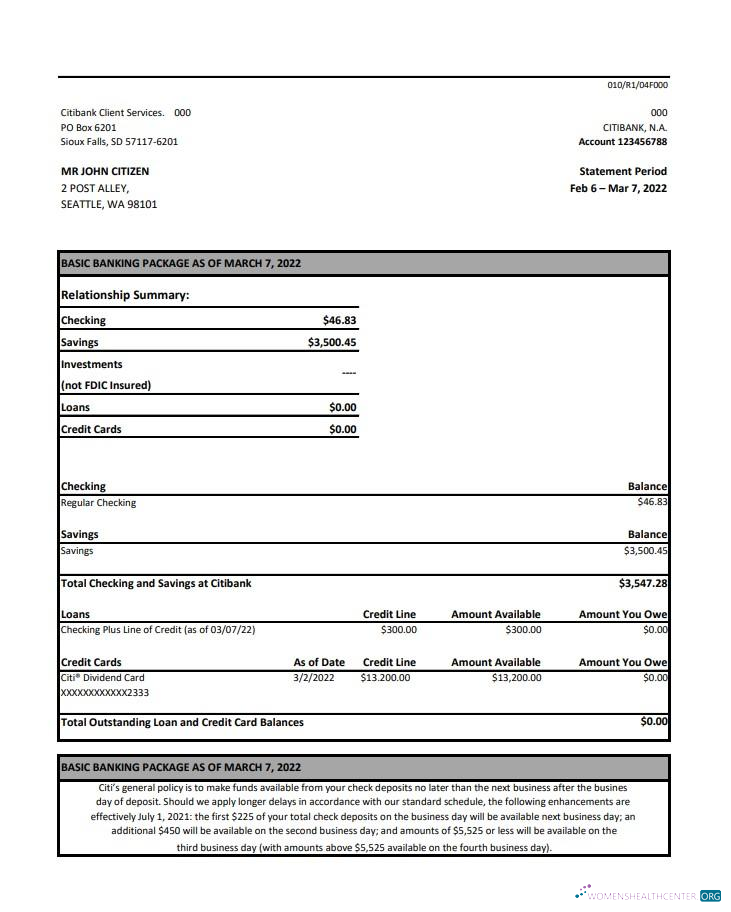 Download Australia Citibank bank statement excel Photoshop template